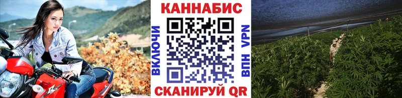 Бошки марихуана тримм  купить закладку  Хасавюрт 